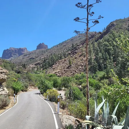 Pinares El Juncal De Сasa de vacaciones Tejeda (Gran Canaria)