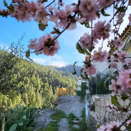 Сasa de vacaciones Pinares El Juncal De