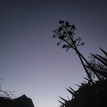 Pinares El Juncal De Сasa de vacaciones