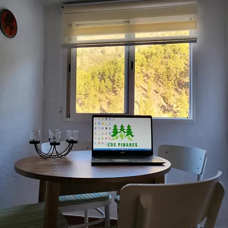 Pinares El Juncal De Сasa de vacaciones Tejeda (Gran Canaria)