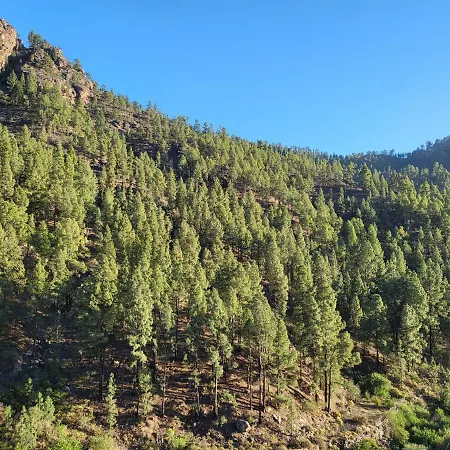 Pinares El Juncal De Semesterbostad *
